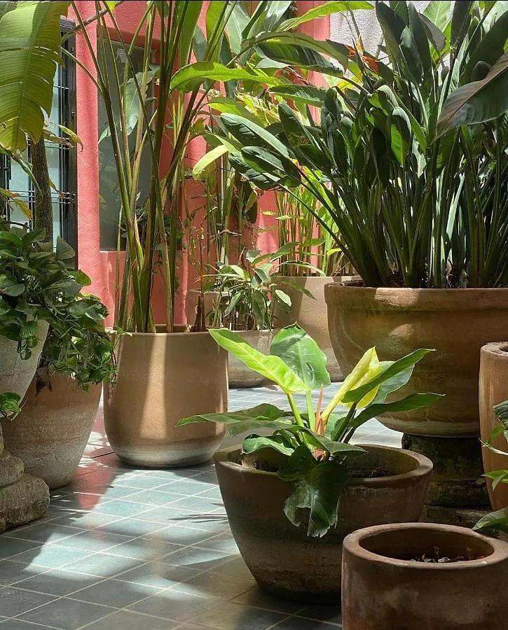 Meson San Felipe Aparthotel Guadalajara